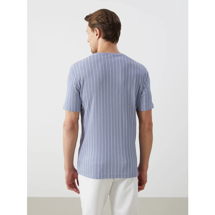 LCW Vision Mavi Bisiklet Yaka Kısa Kollu Çizgili Erkek Dokulu Tişört