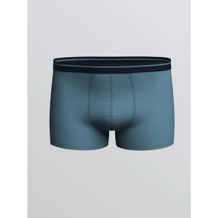 LC WAIKIKI Lacivert Standart Kalıp Pamuklu Esnek Erkek Boxer 3lü