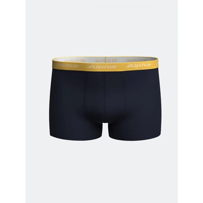 LC WAIKIKI Lacivert Standart Kalıp Pamuklu Esnek Erkek Boxer 3lü