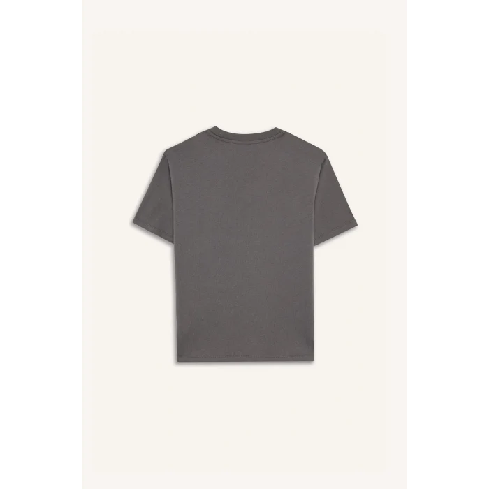 Defacto D9293 Antrasit Erkek Çocuk Bisiklet Yaka Kaykay Baskılı Kısa Kollu Tişört