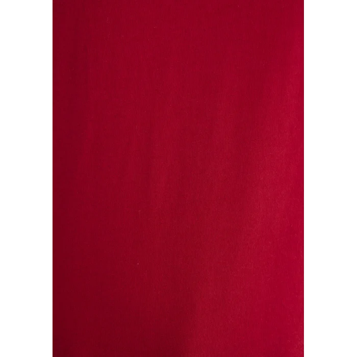 Mavi 065781-34535 Mavi Logo Baskılı Kırmızı Tişört