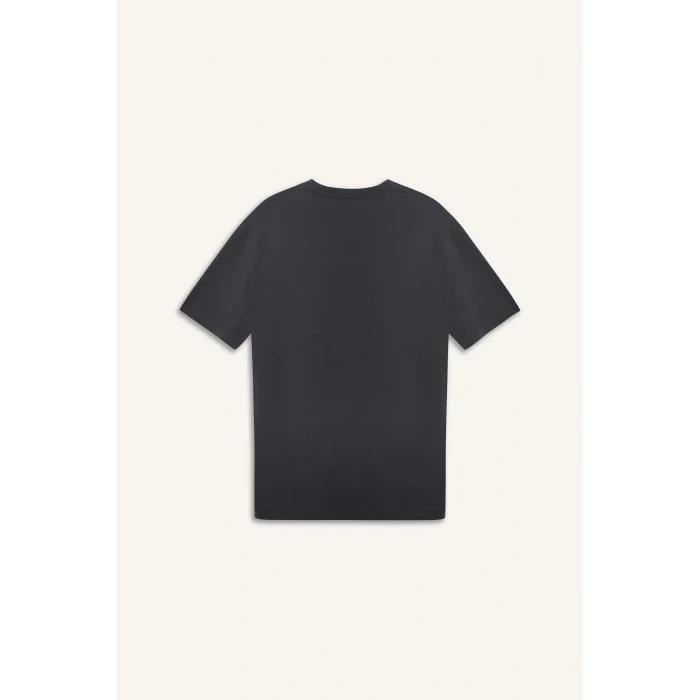 Defacto E3263 Antrasit %100 Pamuk Deadpool Regular Fit Bisiklet Yaka Baskılı Kısa Kollu Tişört