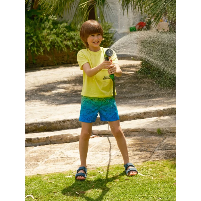 LCW Kids Mavi Beli Lastikli Baskılı Erkek Çocuk Yüzme Şort