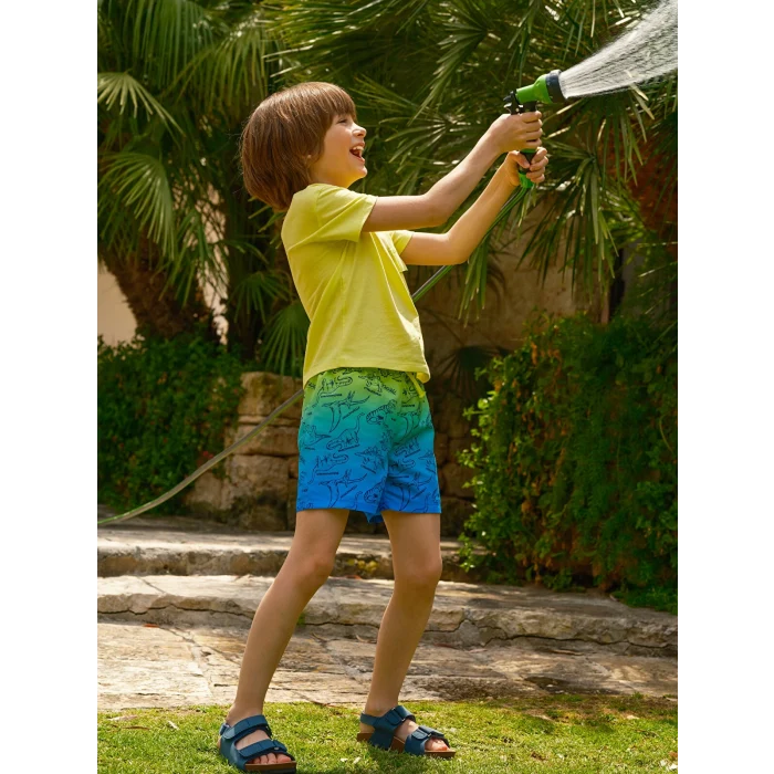 LCW Kids Mavi Beli Lastikli Baskılı Erkek Çocuk Yüzme Şort