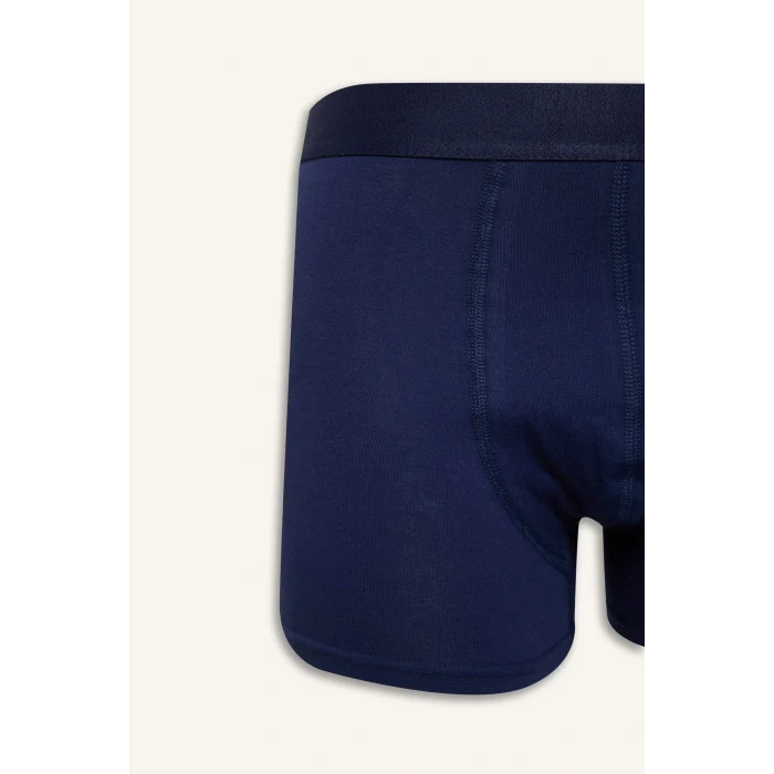 Defacto C3275 Lacivert Regular Fit 3lü Boxer