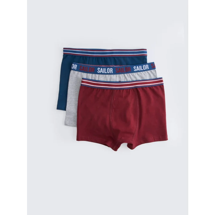 LCW Kids Bordo Basic Pamuklu Erkek Çocuk Boxer 3lü