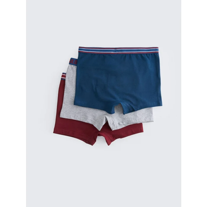 LCW Kids Bordo Basic Pamuklu Erkek Çocuk Boxer 3lü