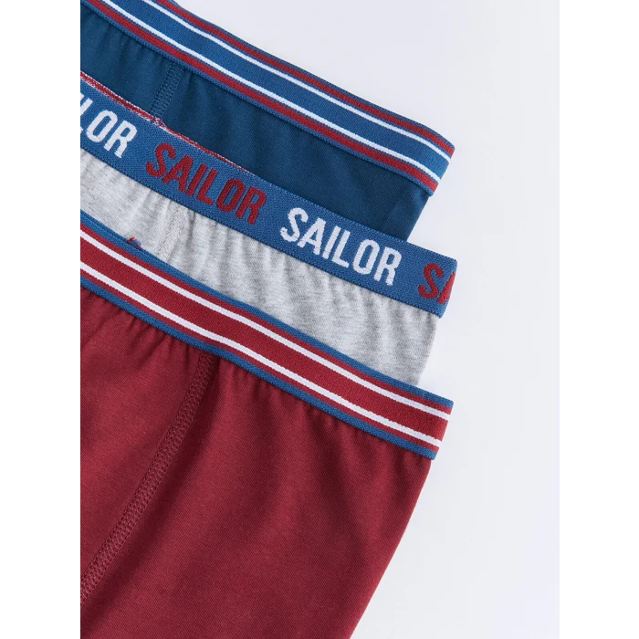 LCW Kids Bordo Basic Pamuklu Erkek Çocuk Boxer 3lü