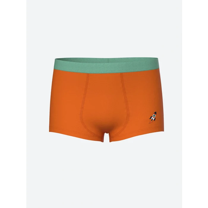 LCW Kids Mavi Baskılı Erkek Çocuk Boxer 3lü