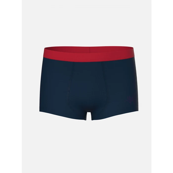 LCW Kids Mavi Baskılı Erkek Çocuk Boxer 3lü