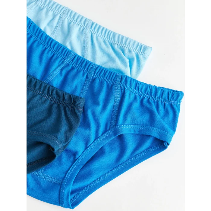 LCW Kids Lacivert Basic Pamuklu Erkek Çocuk Külot 3lü