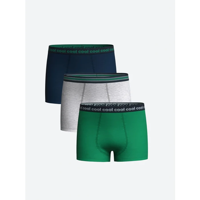 LCW Kids Yeşil Baskılı Erkek Çocuk Boxer 3lü