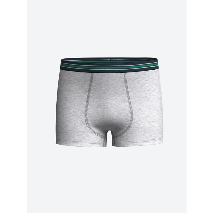 LCW Kids Yeşil Baskılı Erkek Çocuk Boxer 3lü