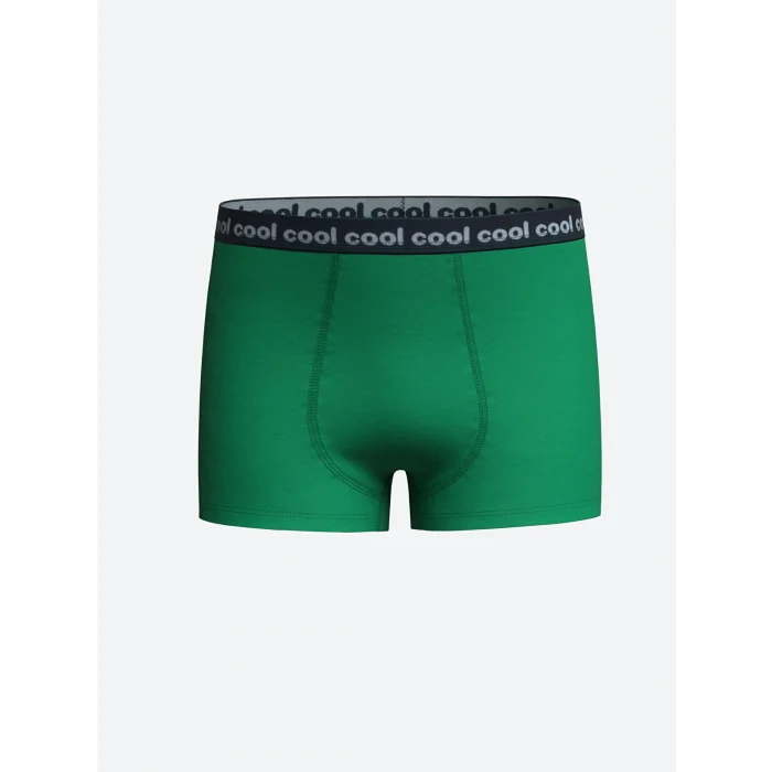 LCW Kids Yeşil Baskılı Erkek Çocuk Boxer 3lü