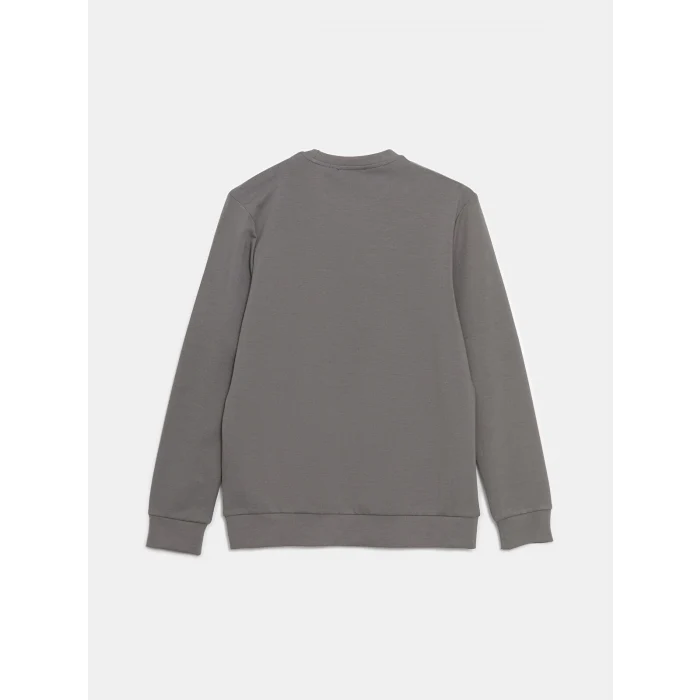 LCWAIKIKI Classic Yeşil Bisiklet Yaka Uzun Kollu Baskılı Erkek Sweatshirt