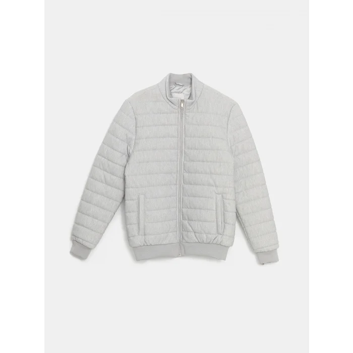 LCW Vision Gri Slim Fit Dik Yaka Erkek Mont