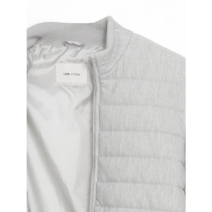 LCW Vision Gri Slim Fit Dik Yaka Erkek Mont