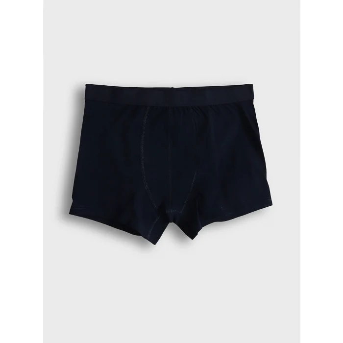 LC WAIKIKI Lacivert Standart Kalıp Pamuklu Esnek Erkek Boxer 3lü