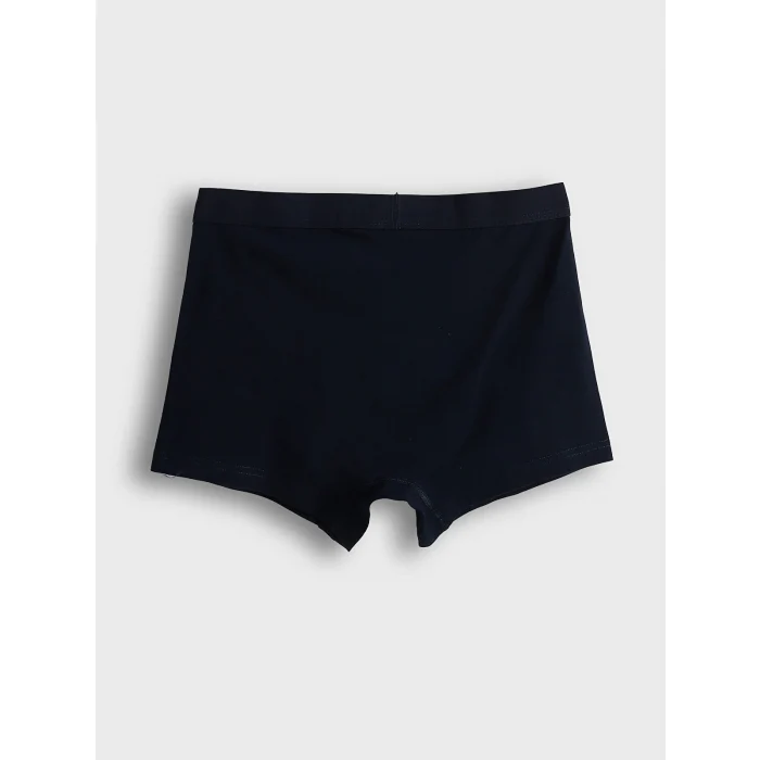 LC WAIKIKI Lacivert Standart Kalıp Pamuklu Esnek Erkek Boxer 3lü