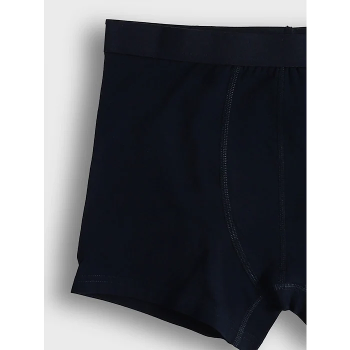 LC WAIKIKI Lacivert Standart Kalıp Pamuklu Esnek Erkek Boxer 3lü