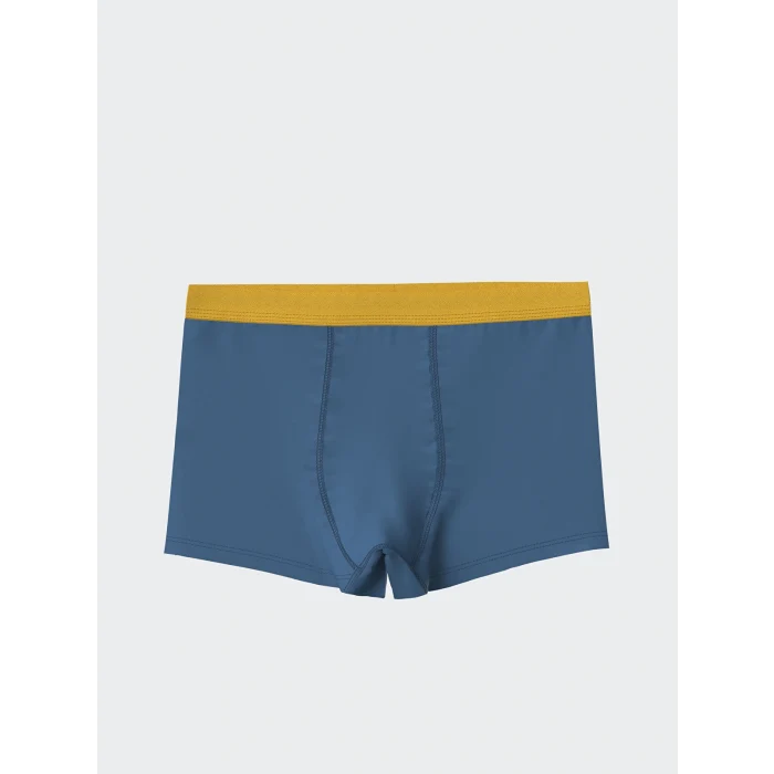 LCW Kids Mavi Baskılı Erkek Çocuk Boxer 3lü