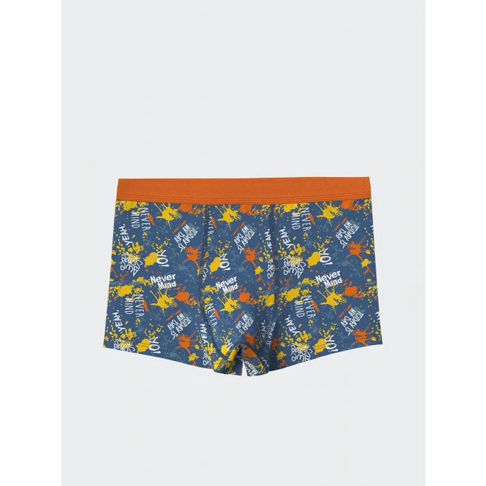 LCW Kids Mavi Baskılı Erkek Çocuk Boxer 3lü