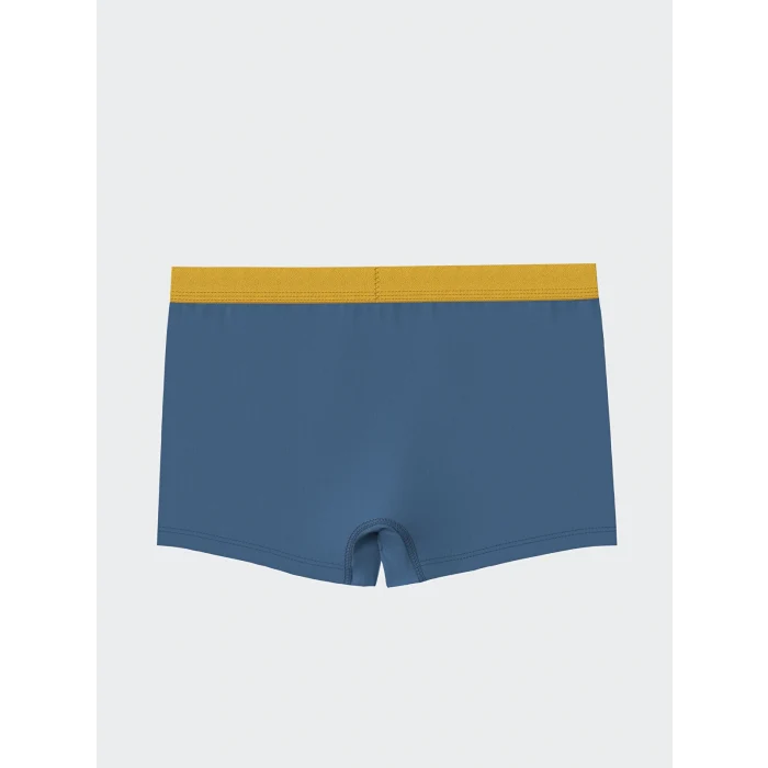 LCW Kids Mavi Baskılı Erkek Çocuk Boxer 3lü