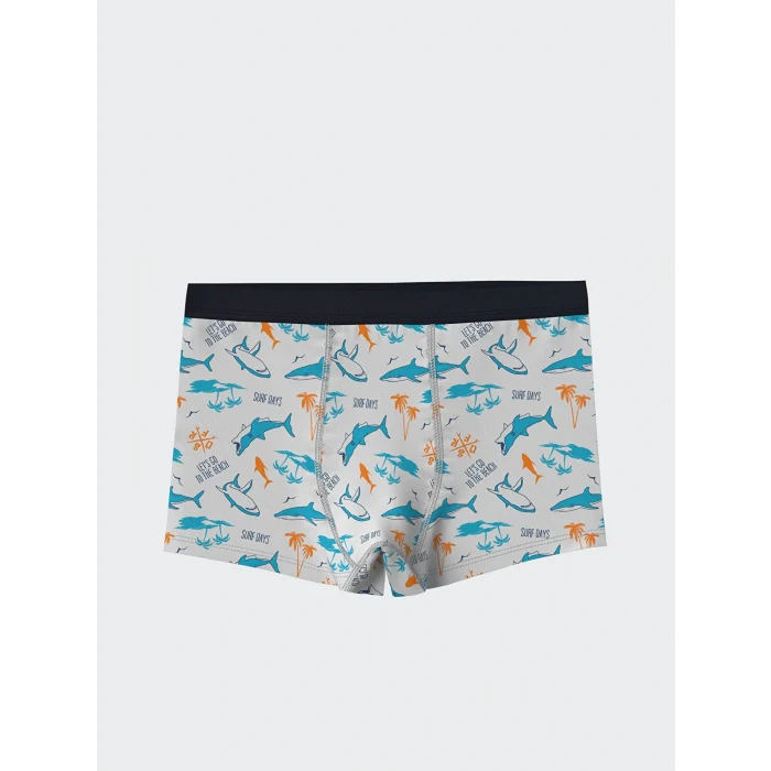 LCW Kids Gri Baskılı Erkek Çocuk Boxer 3lü