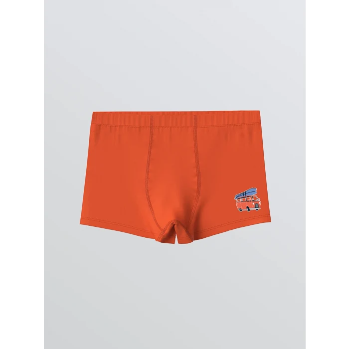 LCW Kids Lacivert Baskılı Erkek Çocuk Boxer 3lü