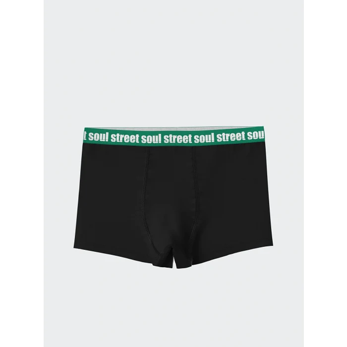 LCW Kids Beyaz Baskılı Erkek Çocuk Boxer 3lü