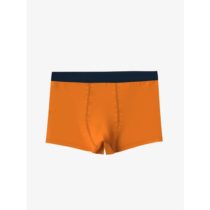 LCW Kids Lacivert Baskılı Erkek Çocuk Boxer 3lü