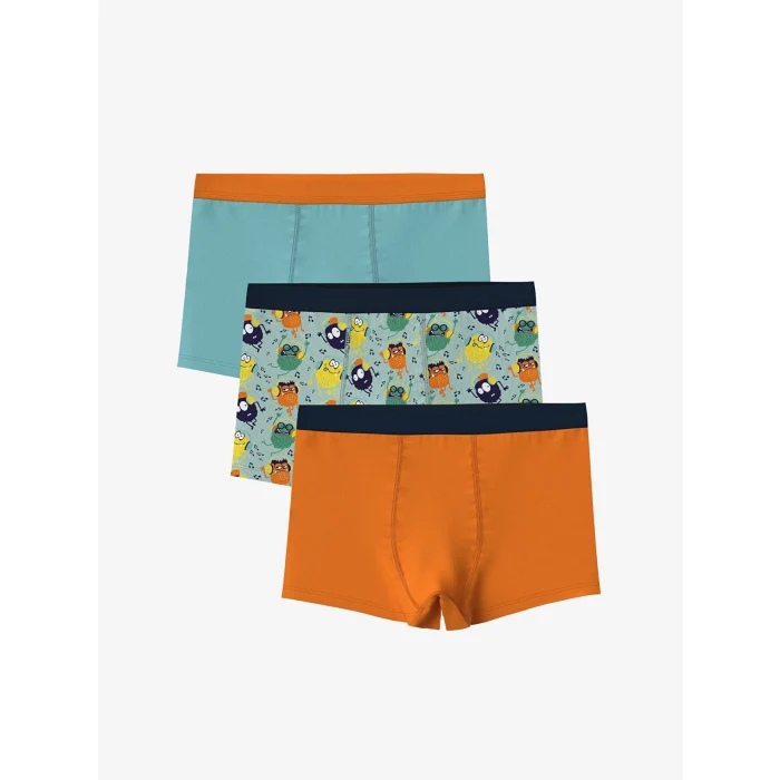 LCW Kids Turkuaz Baskılı Erkek Çocuk Boxer 3lü