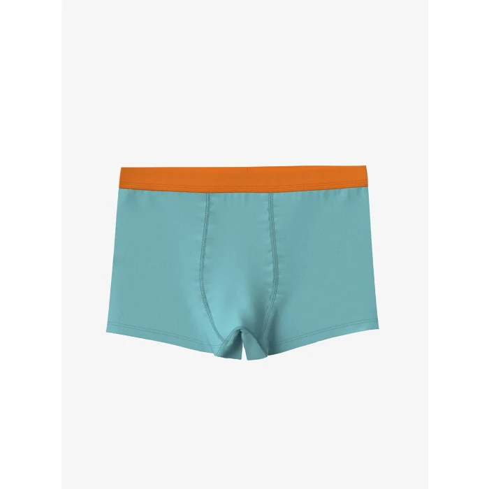 LCW Kids Turkuaz Baskılı Erkek Çocuk Boxer 3lü