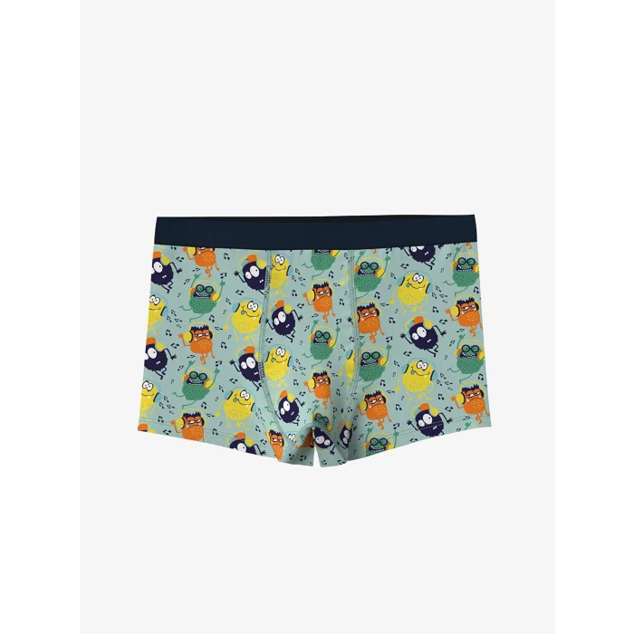 LCW Kids Turkuaz Baskılı Erkek Çocuk Boxer 3lü