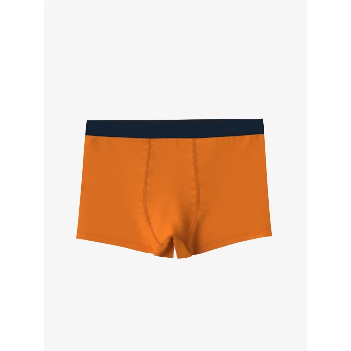 LCW Kids Turkuaz Baskılı Erkek Çocuk Boxer 3lü