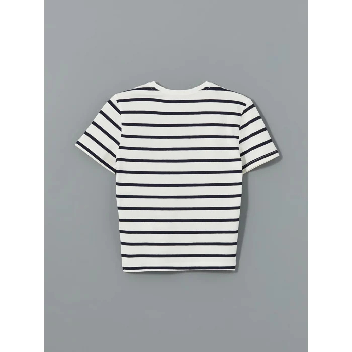 LCW Vision Lacivert Bisiklet Yaka Çizgili Kadın Tişört