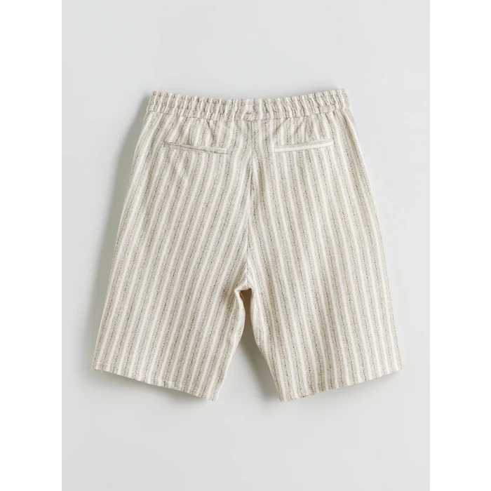 LCW Vision Bej Standart Kalıp Çizgili Erkek Şort