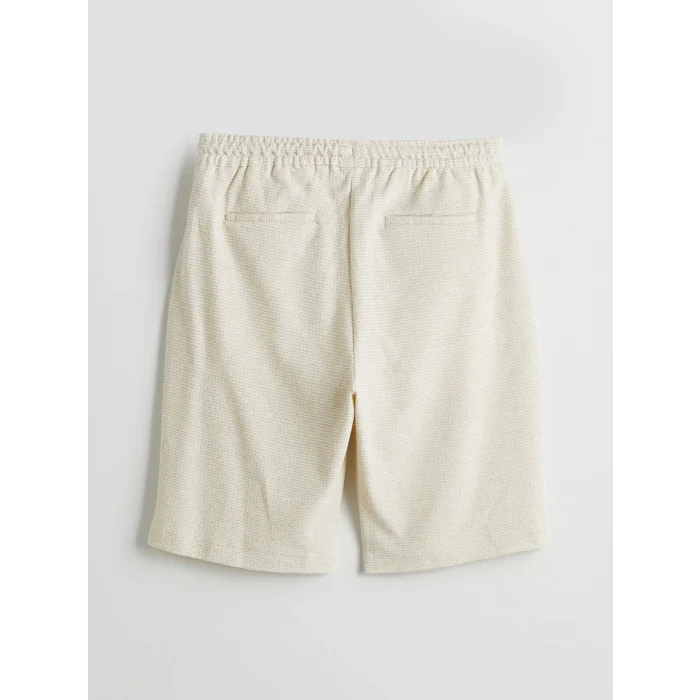 LCW Vision Bej Standart Kalıp Erkek Şort