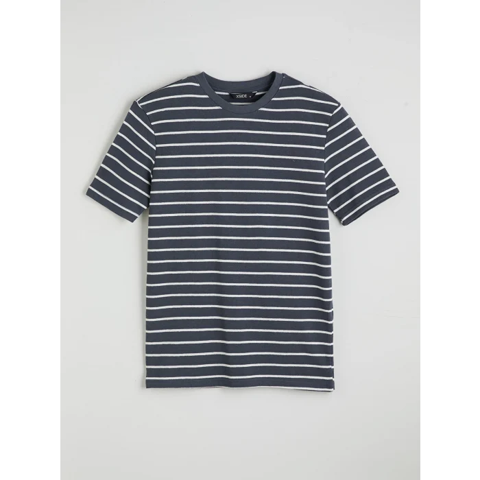 XSIDE Antrasit Bisiklet Yaka Çizgili Erkek Tişört