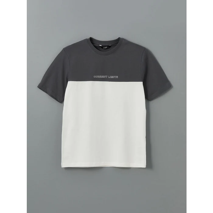 XSIDE Antrasit Bisiklet Yaka Renk Bloklu Erkek Tişört
