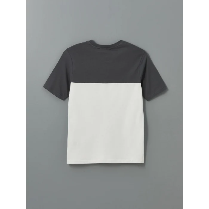 XSIDE Antrasit Bisiklet Yaka Renk Bloklu Erkek Tişört