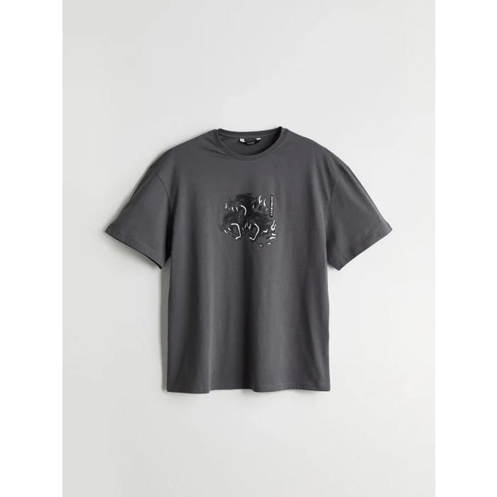 XSIDE Antrasit Bisiklet Yaka Baskılı Penye Erkek Tişört