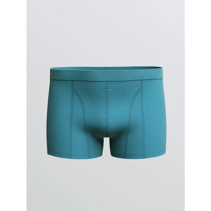 LC WAIKIKI Lacivert Standart Kalıp Pamuklu Esnek Erkek Boxer 3lü