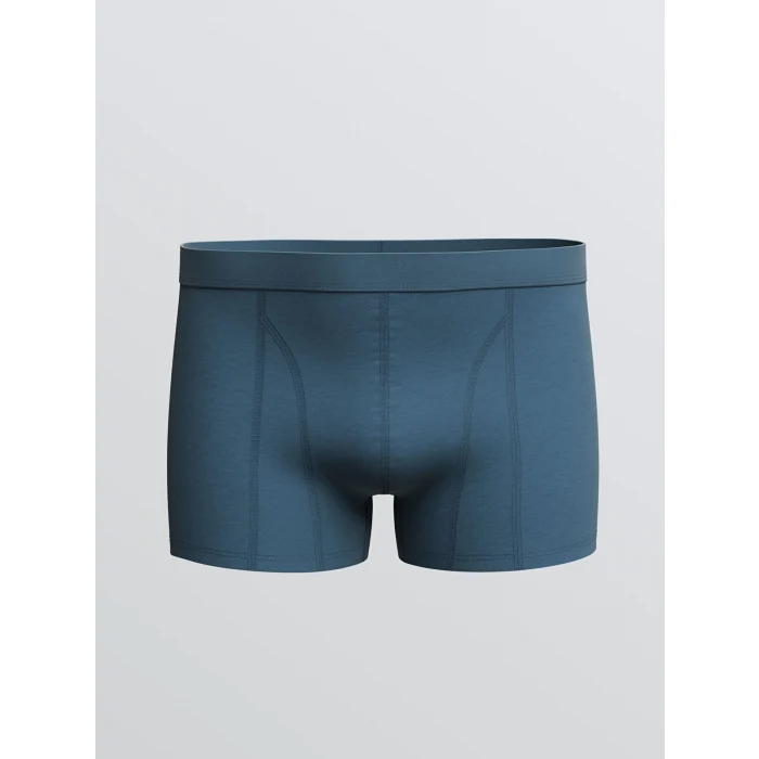 LC WAIKIKI Lacivert Standart Kalıp Pamuklu Esnek Erkek Boxer 3lü