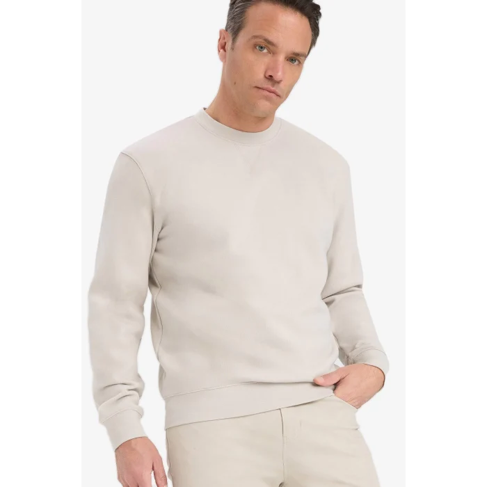 Defacto E8339AXBG766 Bej %100 Pamuk Regular Fit Bisiklet Yaka Sweatshirt