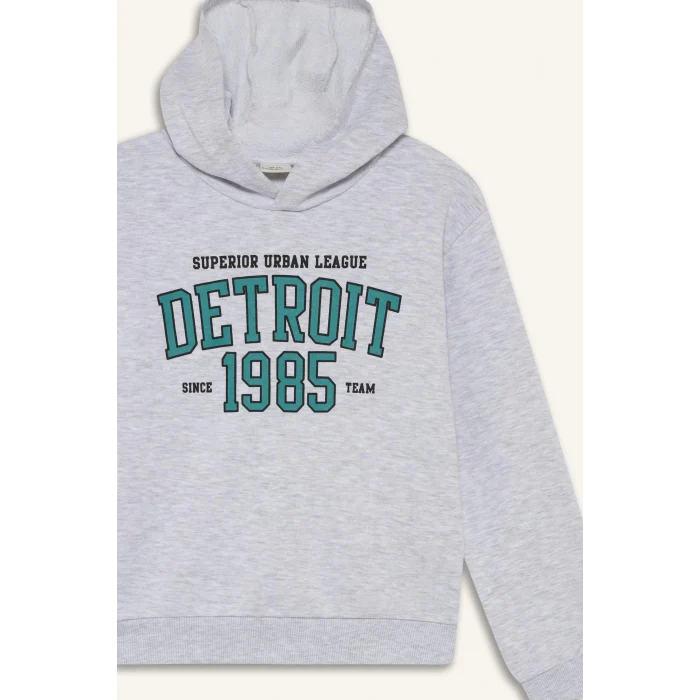 Defacto F2846A8GR400 Gri Erkek Çocuk Kapüşonlu Baskılı Sweatshirt