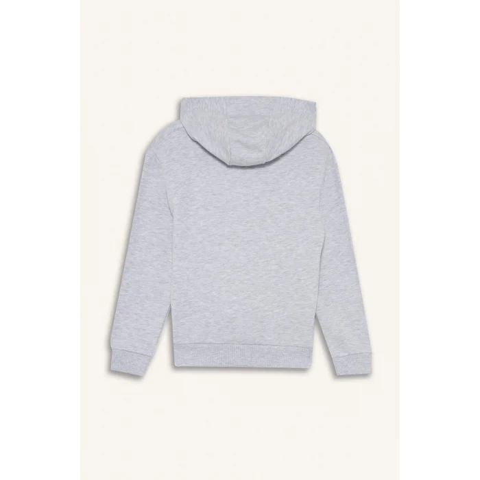 Defacto F2846A8GR400 Gri Erkek Çocuk Kapüşonlu Baskılı Sweatshirt
