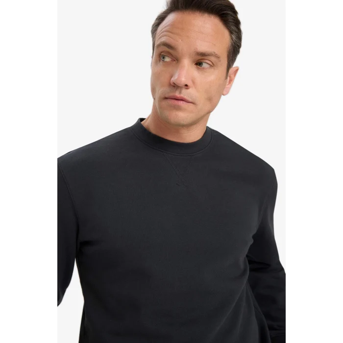 Defacto E8339AXAR235 Antrasit %100 Pamuk Regular Fit Bisiklet Yaka Sweatshirt