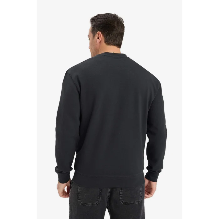 Defacto E8339AXAR235 Antrasit %100 Pamuk Regular Fit Bisiklet Yaka Sweatshirt