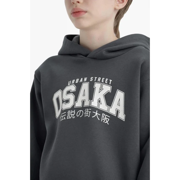 Defacto D4347A8AR58 Antrasit Erkek Çocuk Kapüşonlu İçi Yumuşak Tüylü Baskılı Sweatshirt